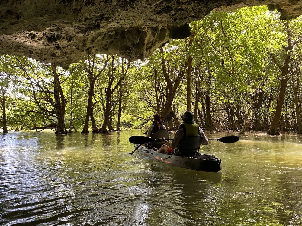 石垣島｜カヤック｜約2時間】1組限定貸切ツアー！宮良川マングローブ