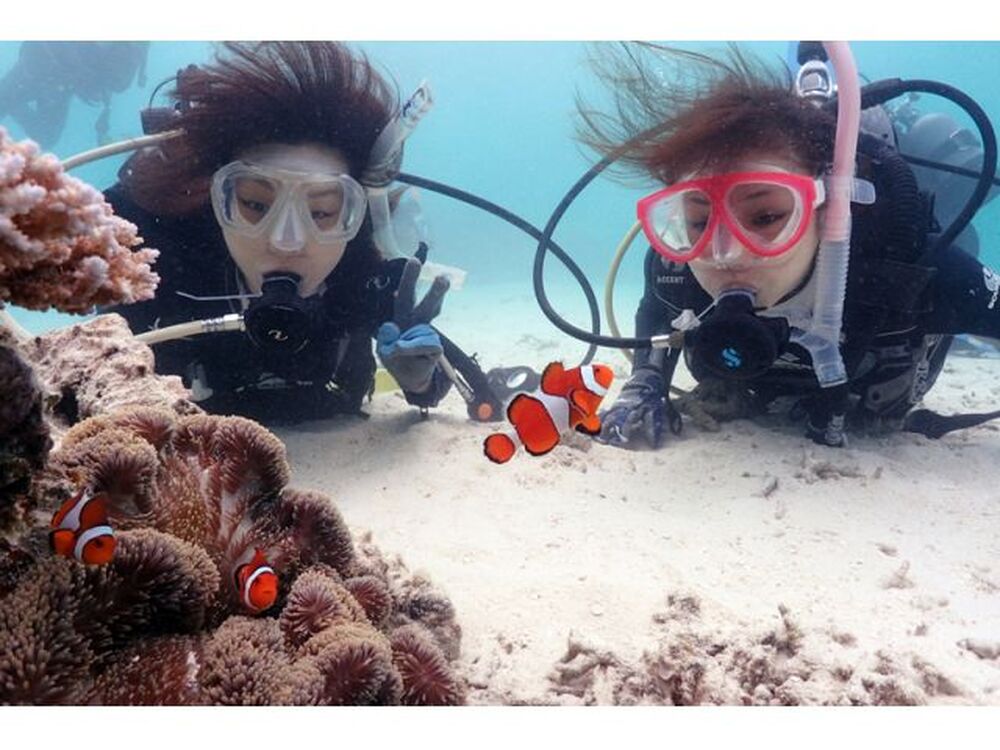 石垣島発〜竹富島解散｜体験ダイビング｜約4時間】安心の少人数制