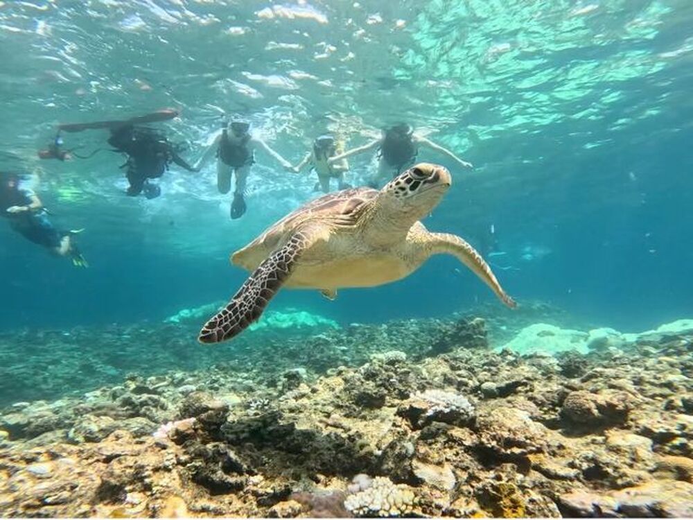 石垣島｜シュノーケル・カヤック｜約4.5時間】川平湾クリアカヤック&青