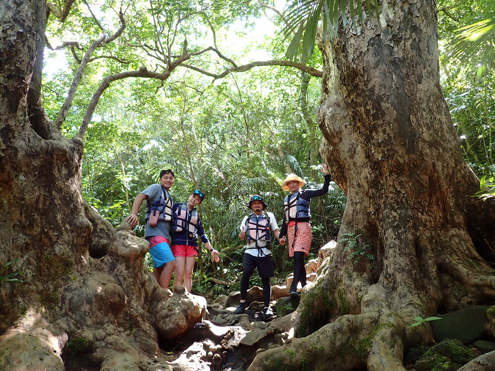 ジャングルトレッキング