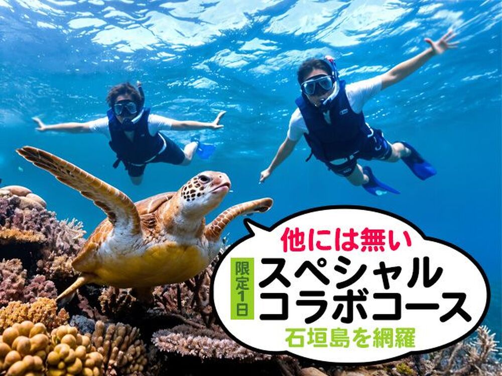 【石垣島｜シュノーケル・SUP・カヤック｜1日】1日スペシャルツアー！シュノーケル・SUP・カヤック♪自然あふれる名所を巡る☆撮影無料！女性ファミリーカップルにおすすめ！<SP>