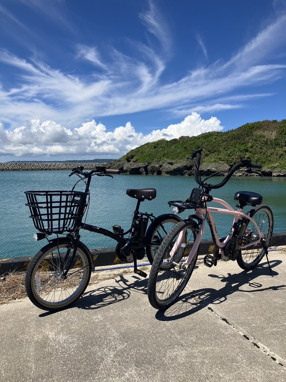 電動自転車｜3時間コース】今話題の電動アシスト自転車レンタルプラン