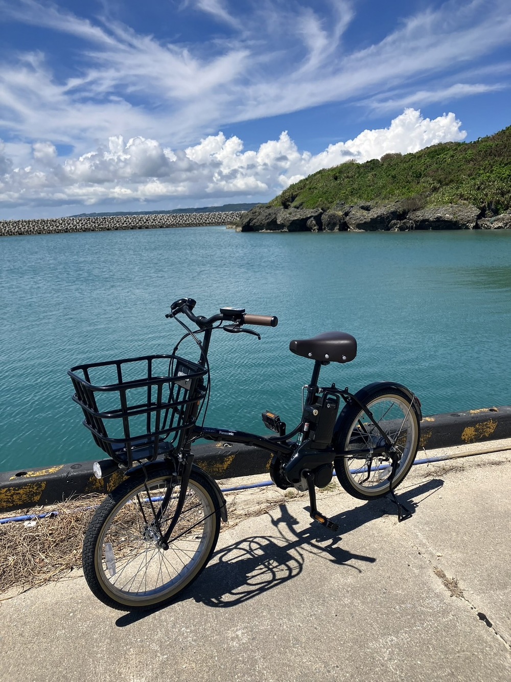 電動自転車｜3時間コース】今話題の電動アシスト自転車レンタルプラン