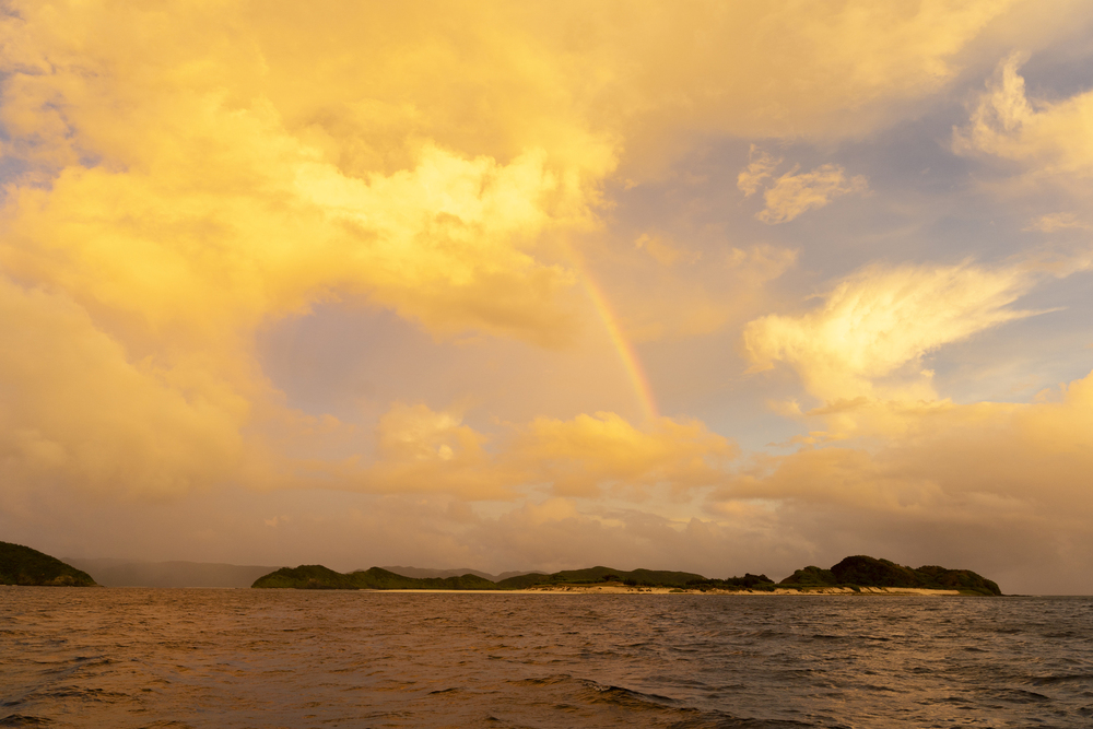 サンセット＆ナイトツアー｜約3時間】座間味島で宿泊滞在の方向け