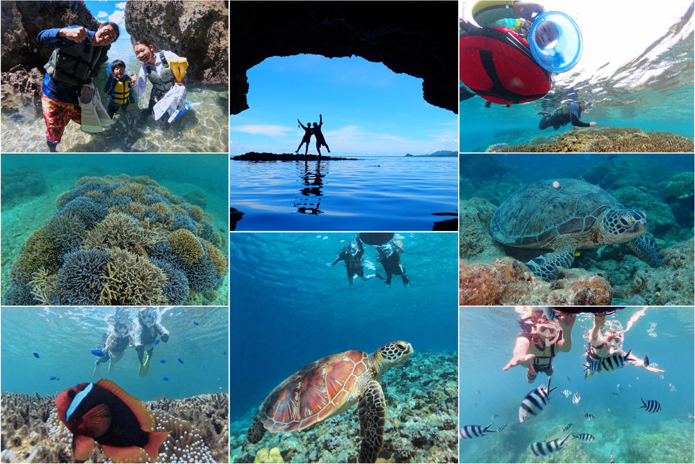 八重山諸島 石垣島 生き物の体験 - 沖縄の離島観光専門サイト「しまたび」