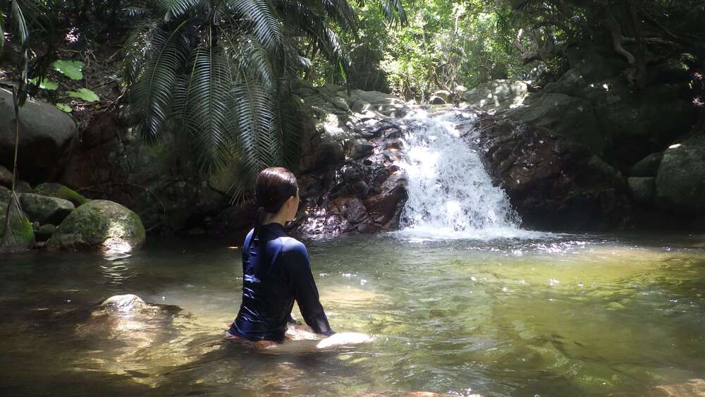八重山諸島 石垣島 川の体験 - 沖縄の離島観光専門サイト「しまたび」