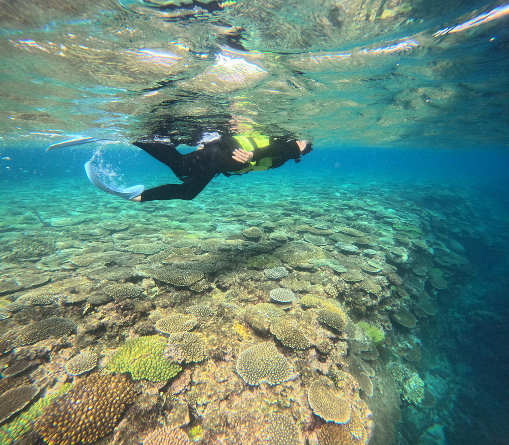 【伊是名島｜シュノーケル｜約2時間】いぜな島の珊瑚礁を散策するシュノーケルガイド体験ツアー♪