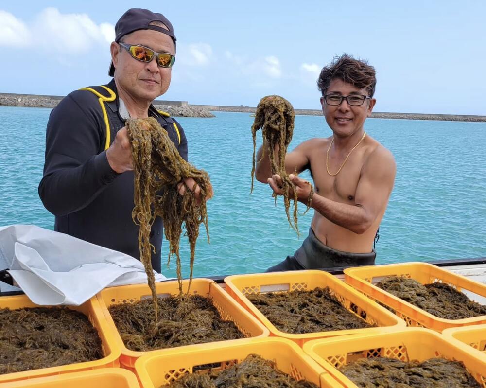 小浜島｜宿泊体験 朝食付き｜1泊】しまたび限定プラン｜1棟貸し・1日1