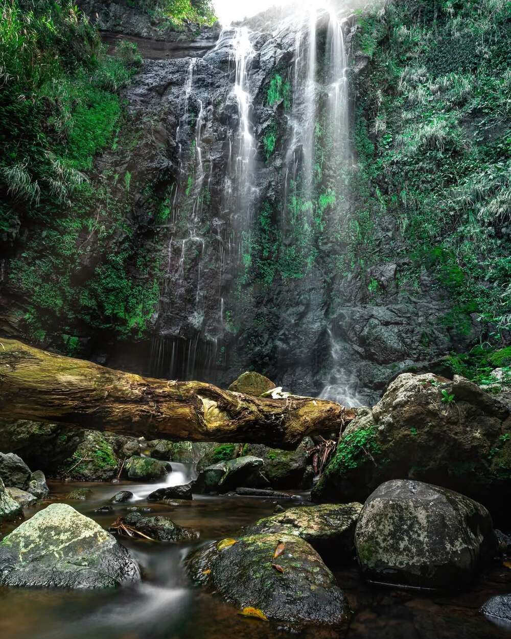 沖縄離島 トレッキングツアー - 沖縄の離島観光専門サイト「しまたび」