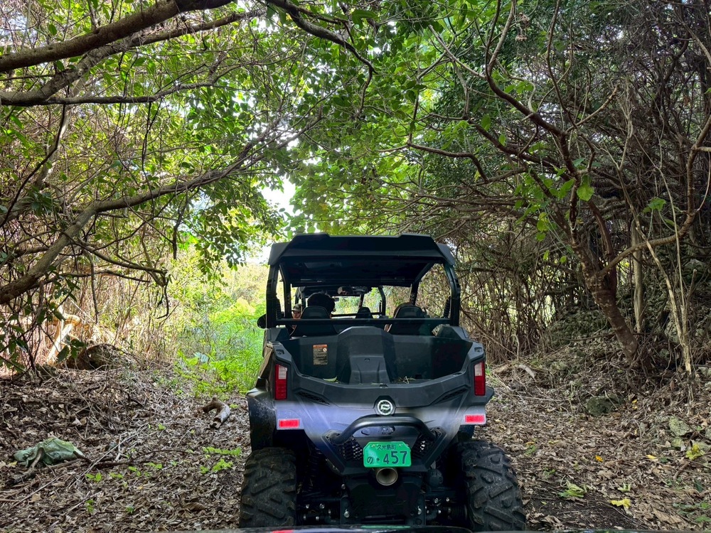 バギーでしか行けないコースへご案内します。