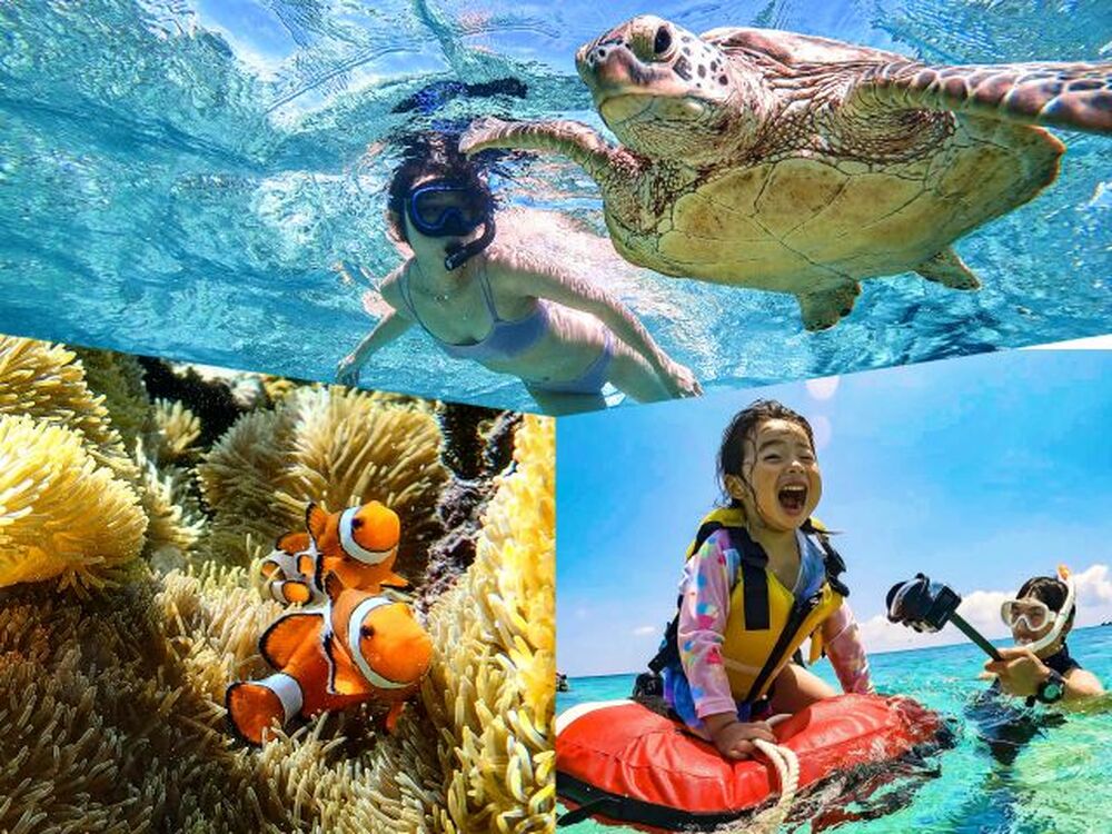 インスタ映え間違いなし!早朝から夜まで幅広い時間帯で楽しめます!