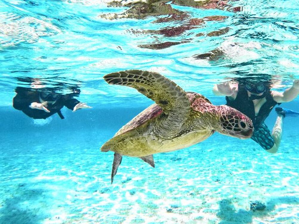 お写真無料プレゼント！！小さなお子様大歓迎！