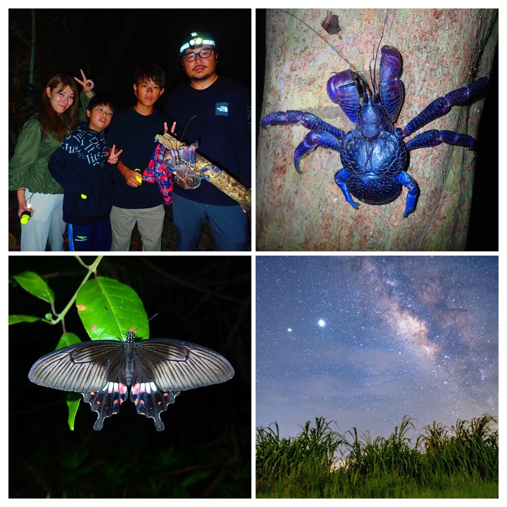 宮古島｜ナイトツアー｜1.5時間】ジャングルナイトツアー☆初心者の方