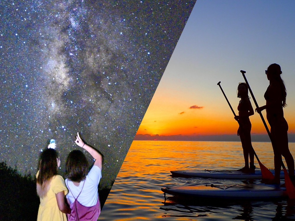 沖縄の森の体験を予約｜沖縄離島専門サイト【しまたび】