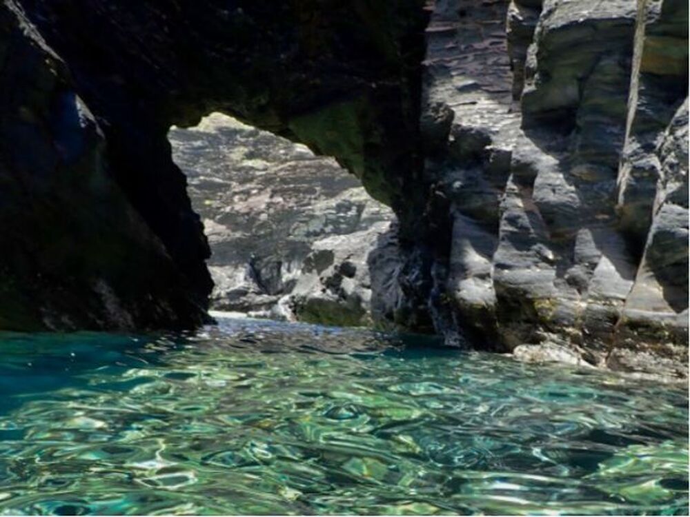 座間味島｜マリンアクティビティ｜1.5～2時間】やりたいこと全部叶える