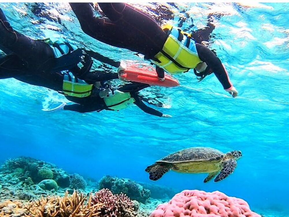 座間味島｜マリンアクティビティ｜1.5～2時間】やりたいこと全部叶える