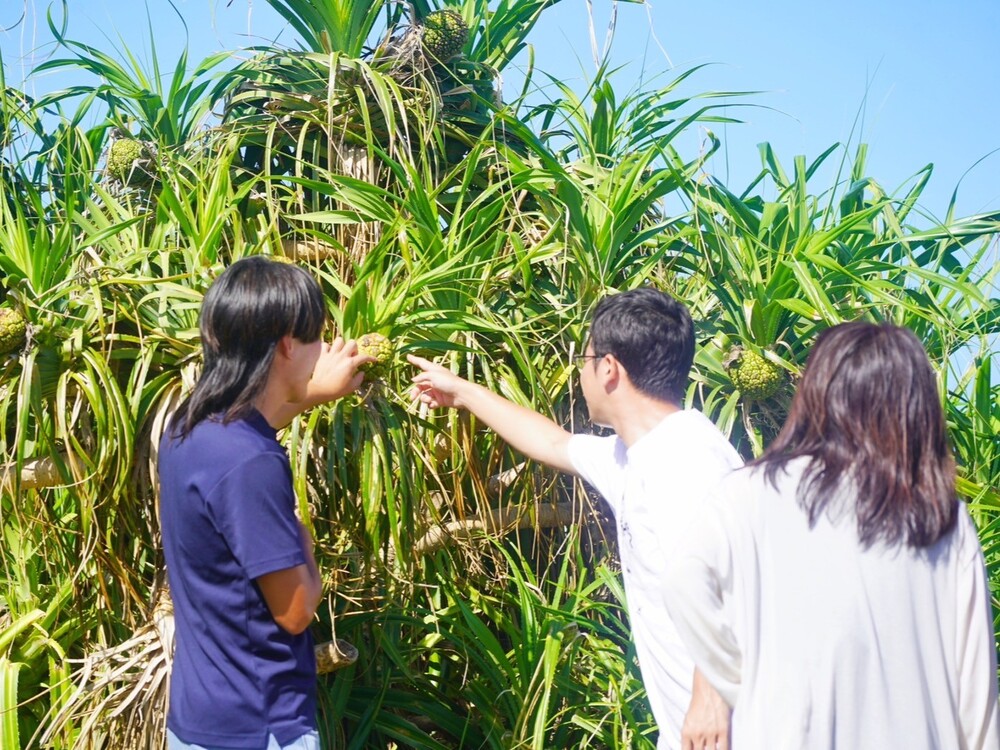 各スポットで島ガイドが様々な解説をしながら島をご案内します!