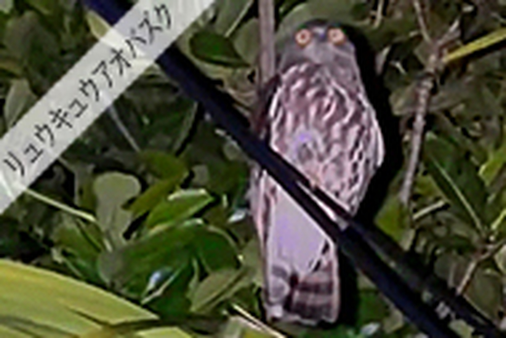 初心者でも安心♪しっかりレクチャーします。