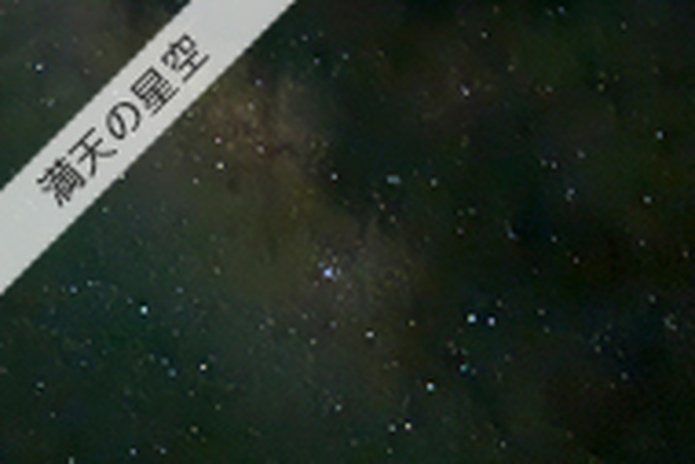 乗り降りもガイドがしっかりサポート