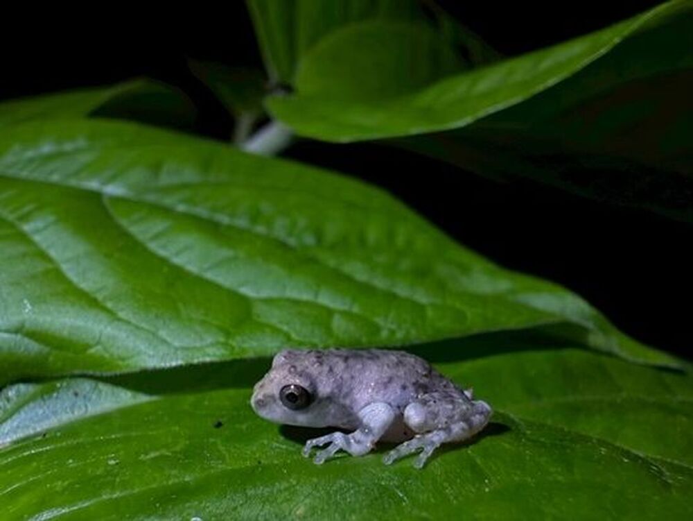 満潮時は木陰で一休み。