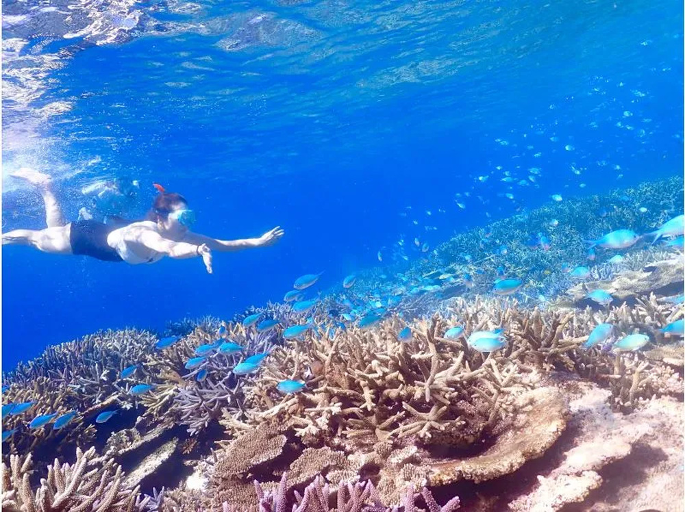宮古島｜八重干瀬ボートシュノーケル｜4時間】ドローン＆水中撮影無料