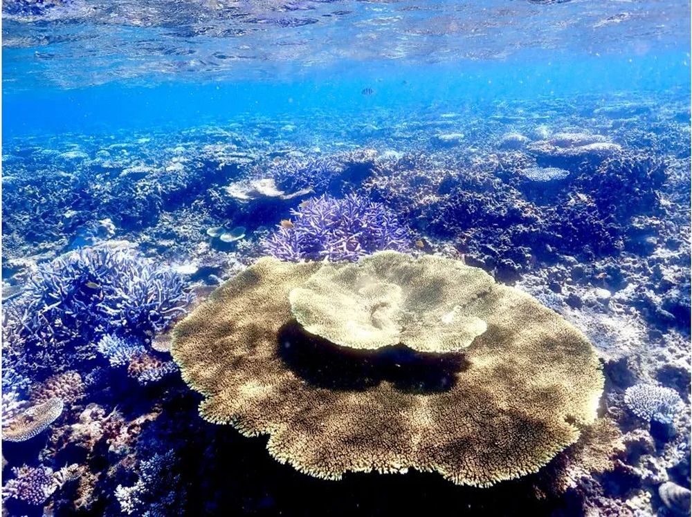 宮古島｜八重干瀬ボートシュノーケル｜4時間】ドローン＆水中撮影無料