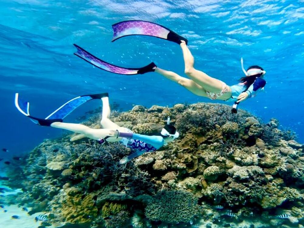 阿嘉島｜ボートシュノーケル｜約2.5時間】ケラマブルーの海でカラフル