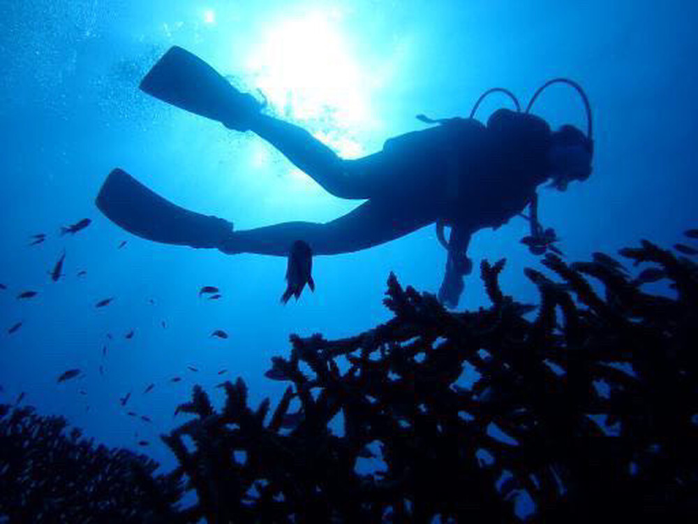 【体験ダイビング（1ダイブ）｜約２時間コース】初心者にオススメ！伊江島の海を満喫♪体験ダイビング♪※無料送迎付き