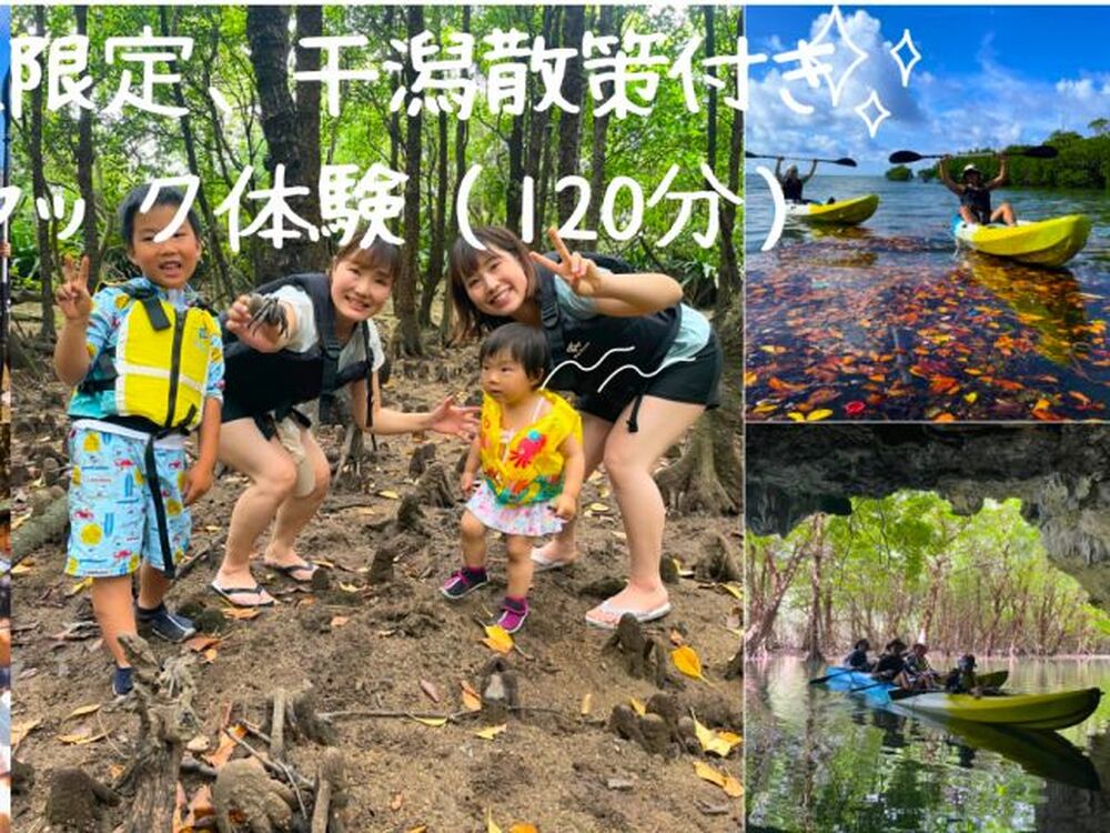 石垣島｜1組貸切／カヌー・散策｜2時間】30年のベテランガイドと行く