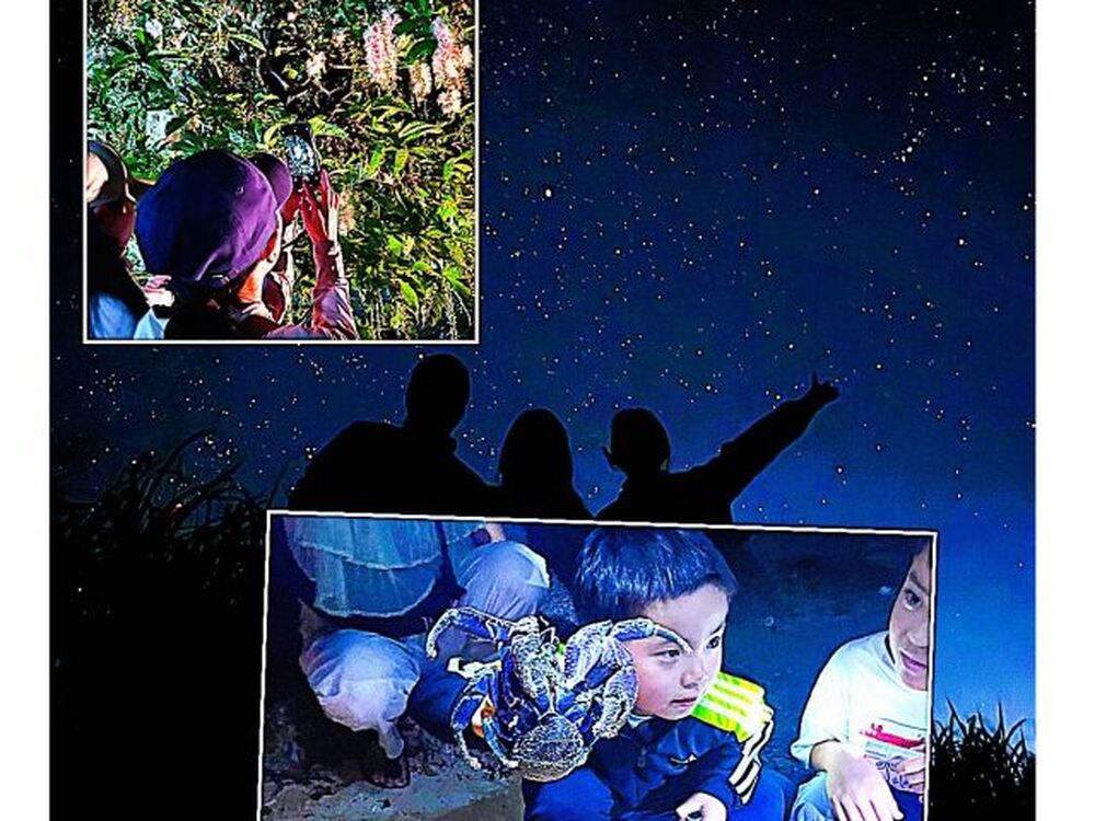 石垣島｜1組貸切／星空・ナイトツアー｜2時間】手ぶらでOK！島人ガイド