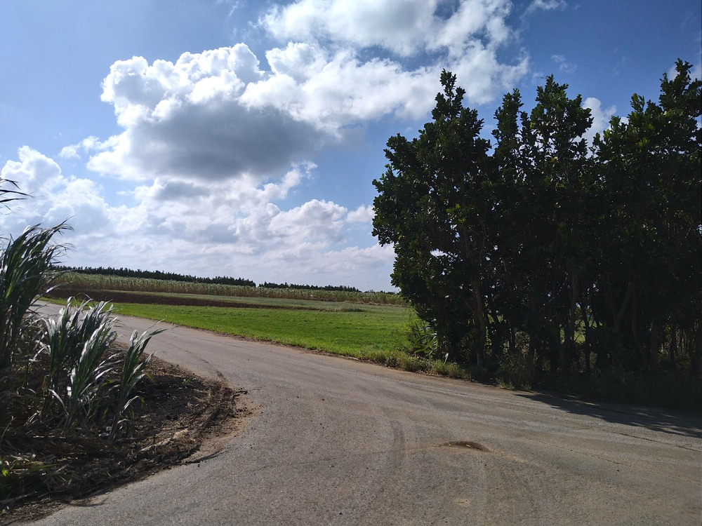 ツアーは完全貸し切りです！