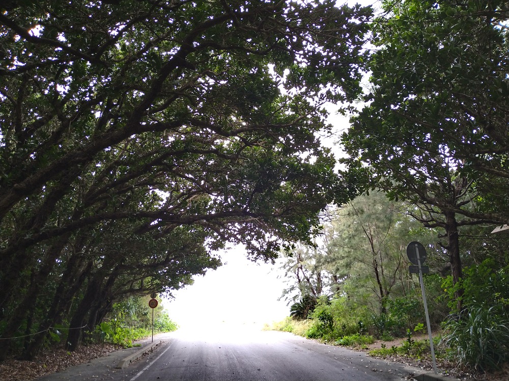 ご希望もどんどんお知らせください♪