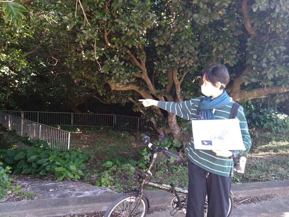 ガイドは女性なので、女性の方の一人旅でも安心☆