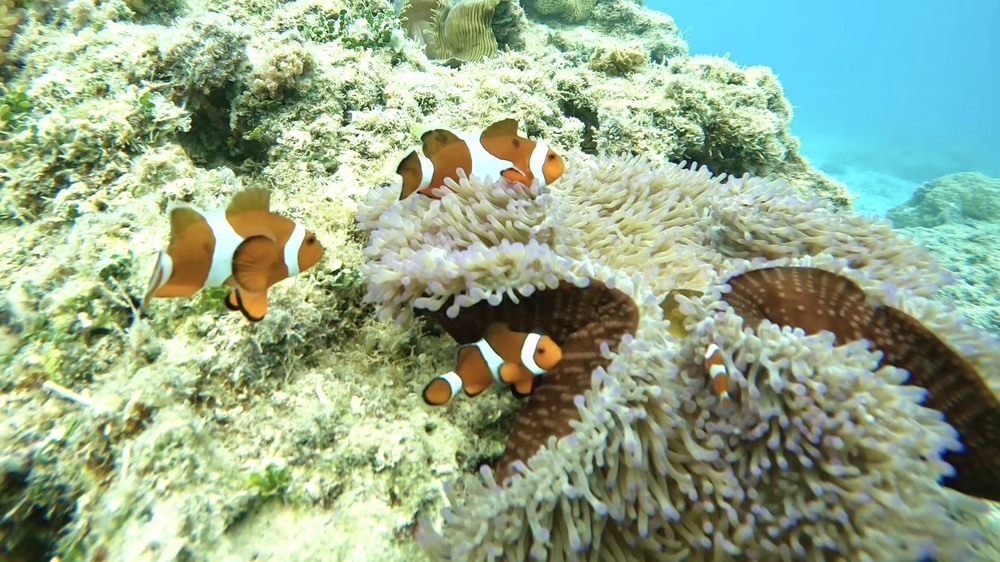 お魚いっぱい!船長自慢のポイントです
