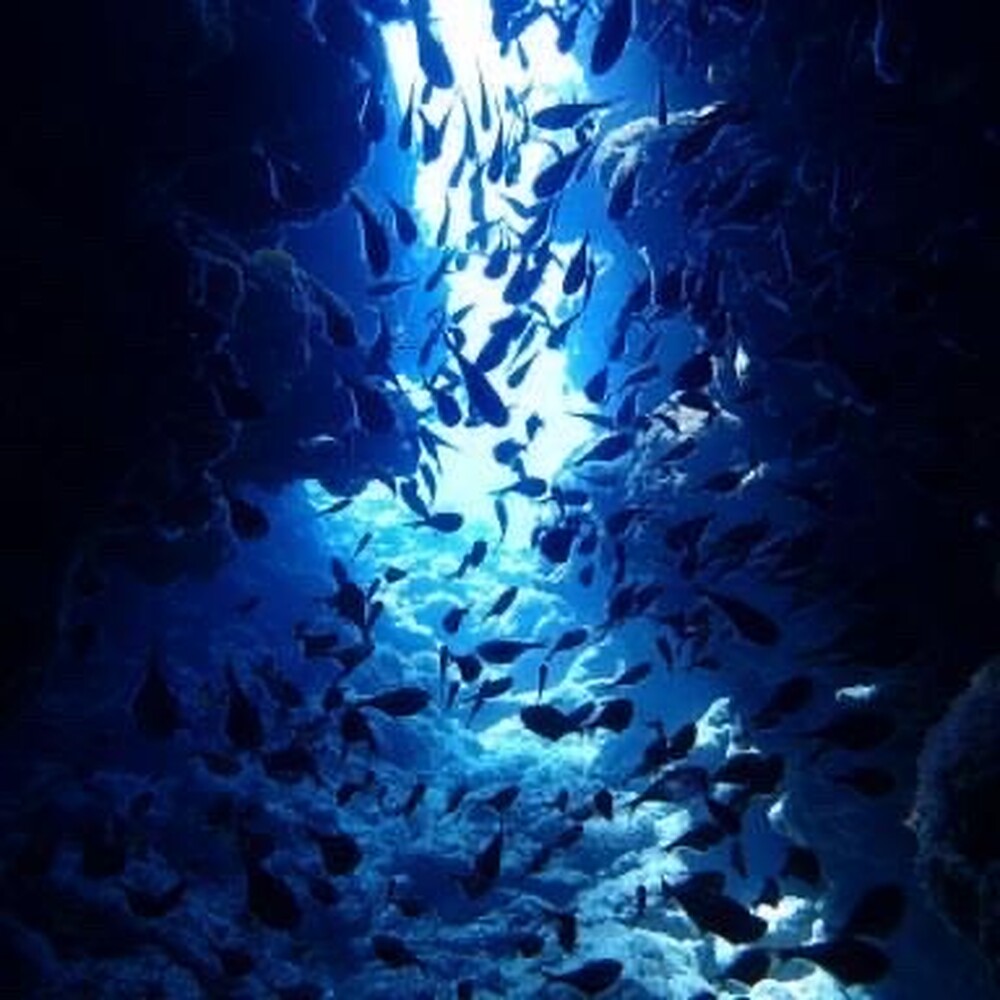 【ファンダイビング（２ダイブ）｜約３時間コース】伊江島の海を満喫♪機材フルセット！ファンダイビング♪※無料送迎付き