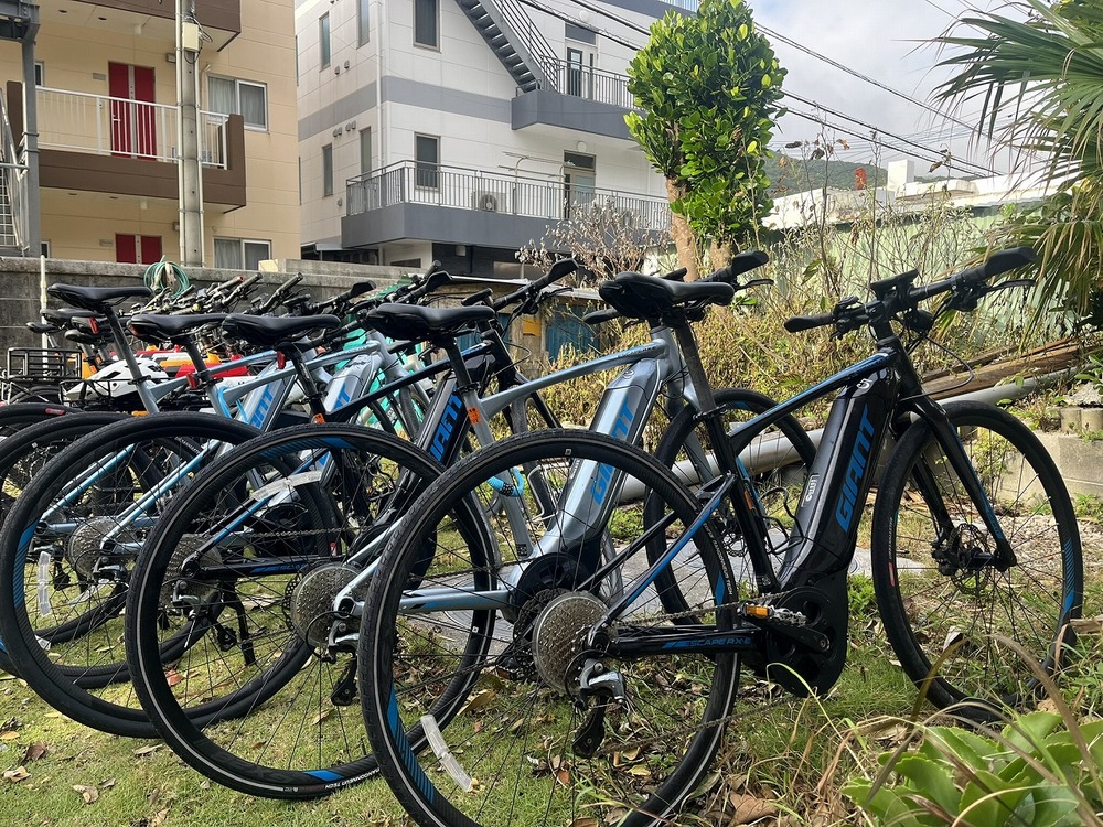 e-Bike（電動アシスト付き自転車_スポーツタイプ）レンタル｜1日コース