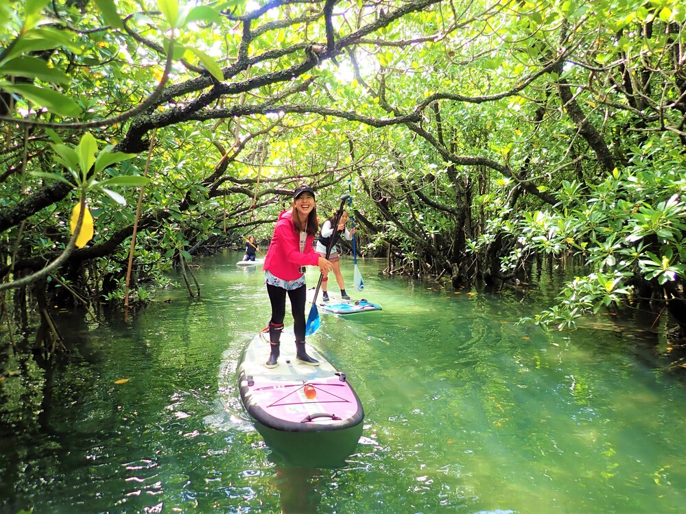 石垣島の森の体験を予約｜沖縄離島専門サイト【しまたび】