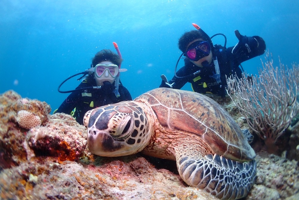 2ショット撮影も！？