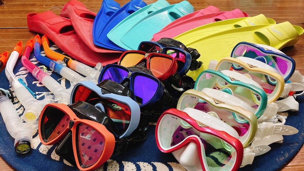 おしゃれな器材を使い海へレッツゴー!