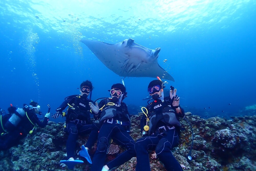 カメやマンタに会えるかも！？
