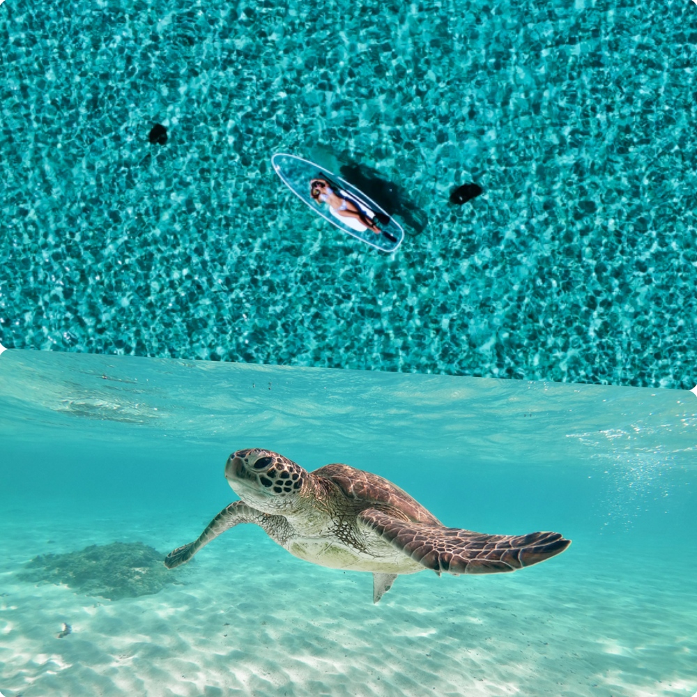 【貸切クリアSUP＆ウミガメシュノーケルツアー｜2時間半】宮古島《大特価》★ドローン撮影付★追加料金ナシ★全額返金保証★レンタル・写真無料