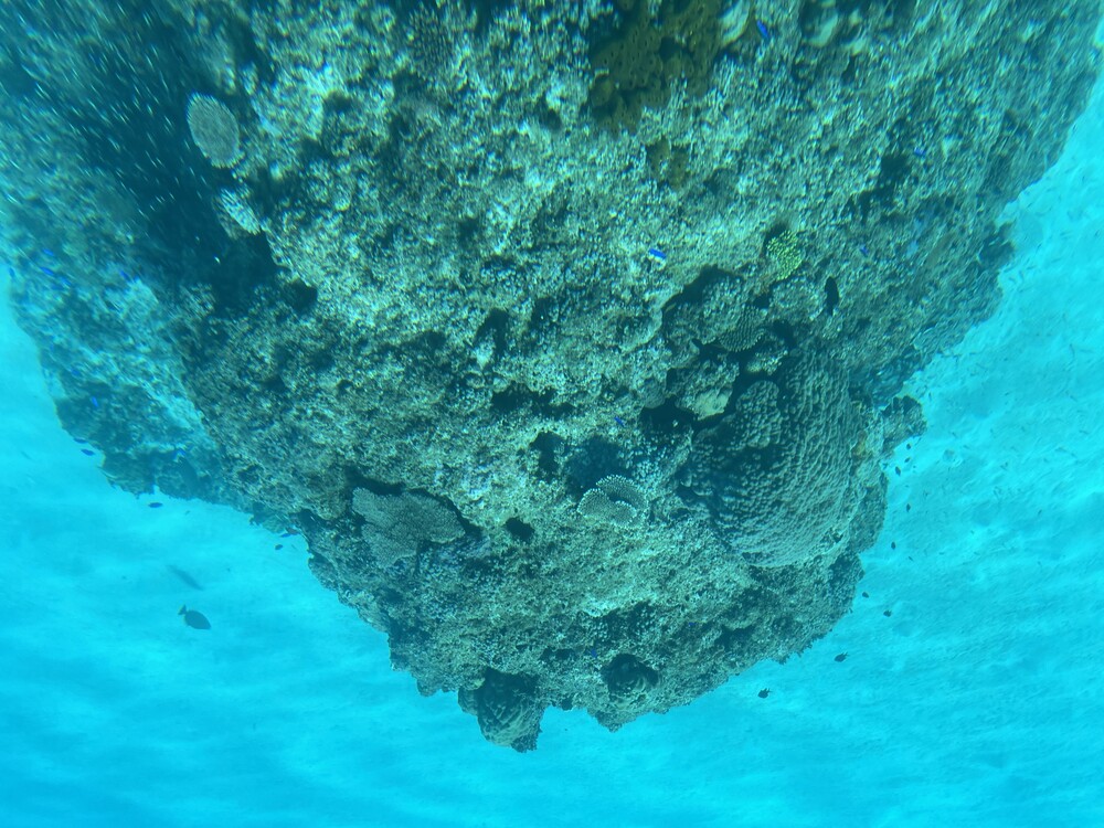 水中遊覧船イエローサブマリン｜40分コース】渡嘉敷島☆雨の日もOK