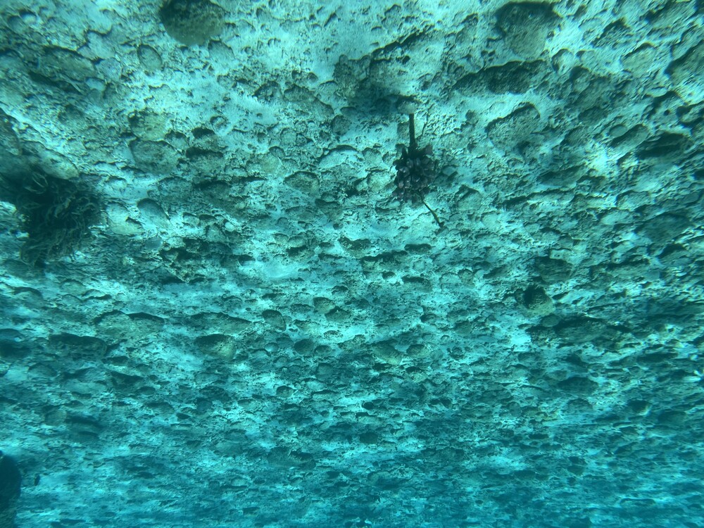 未使用トリマリン ドームサウナ イエロー 未使用トリマリン ドームサウナ イエロー 未使用トリマリン ドーム