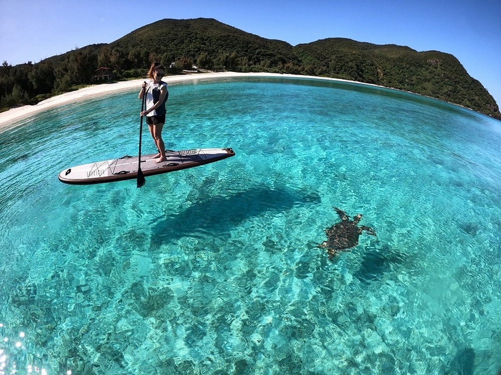 【SUPクルージングツアー｜60分コース】渡嘉敷島★ケラマブルーを散歩しよう！運が良ければウミガメに出会えるかも。