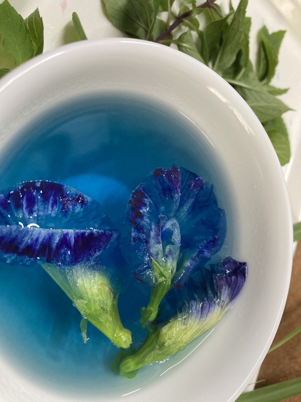 フレッシュハーブで中ゆくい(一休み)