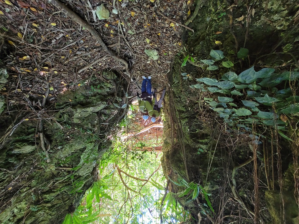 70数年間で、採掘場跡はジャングル化しています。
