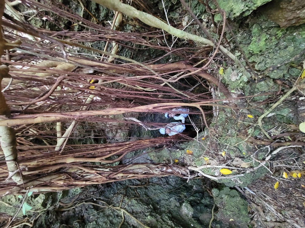 採掘した縦穴の跡