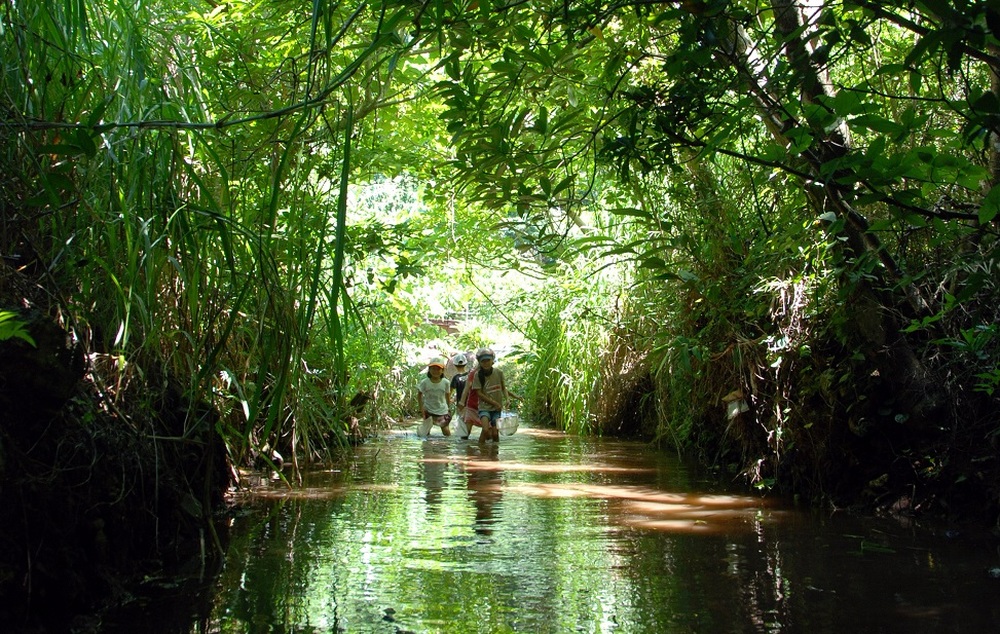 【エコツアー＆トレッキング｜約1.5時間コース】久米島SDGs目標15「陸の豊かさも守ろう」人と自然のつながる森を歩く！「ラムサールの森散策」 ＜3歳～参加OK＞