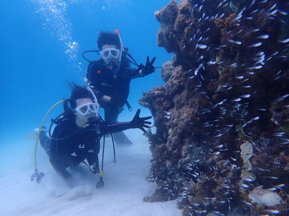 八重山諸島 黒島 ダイビング - 沖縄の離島観光専門サイト「しまたび」