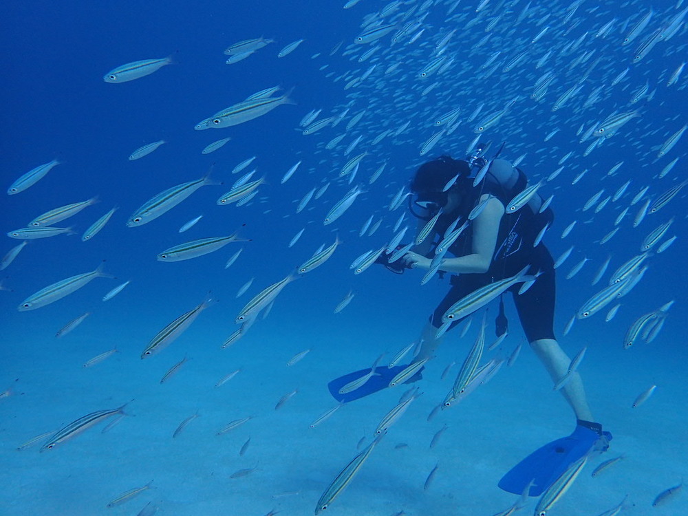 【黒島発着〜新城島周辺｜ファンダイビング｜半日】沖縄屈指の秘境・パナリ島(新城島)周辺！2ダイブを満喫☆石垣島から日帰りＯＫ！少人数限定☆1名様受付可